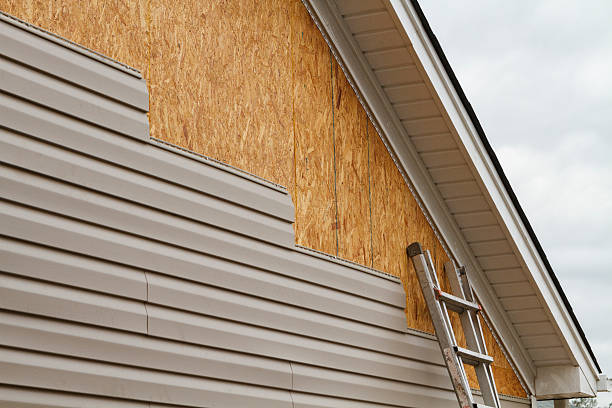 Professional Siding Repair technician working in Scotland, MD